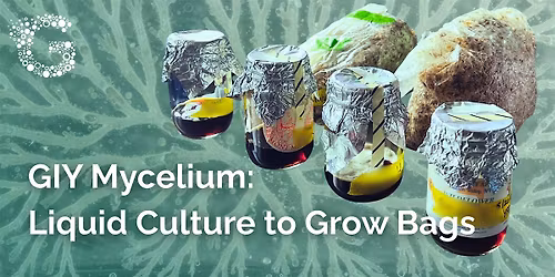 GIY Mycelium: Liquid Culture to Grow Bags