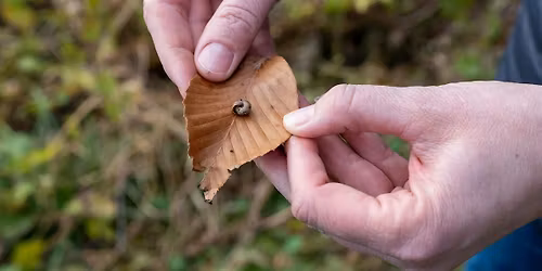 Nature Observation in the Eco-Corridor