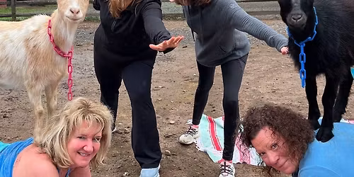 Goat Yoga