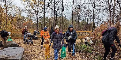 Jr. Forest Explorers \/\/ Explorateurs Forestiers Juniors