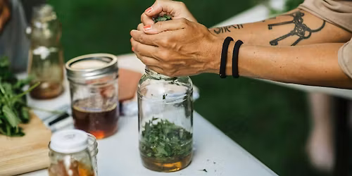 The Restorative Power of Comfrey: A Hands-On Salve-Making Workshop