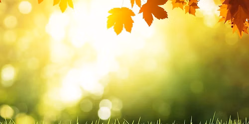 Fall Clean Up