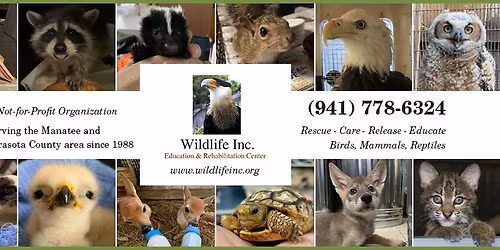 Wildlife Rehabilitation Close Encounter - Details coming soon