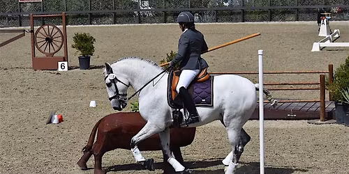 North Georgia USA Working Equitation Show