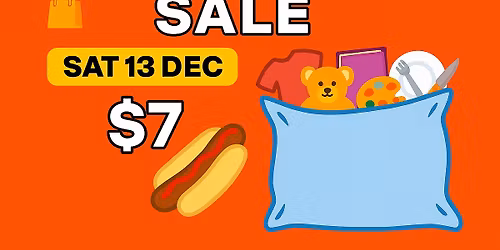 Pillowcase Sale - Last for 2025