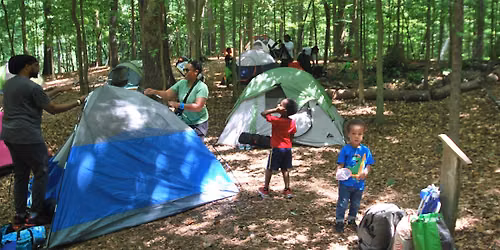 Camping 101