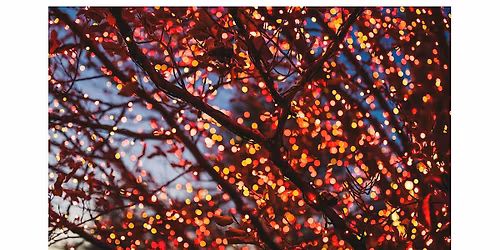 Gathering of Light: An Akashic Records Circle