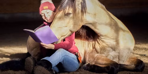 Clinique de travail en libert\u00e9 aux \u00e9curies D&R