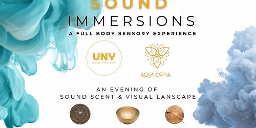 Sound Immersions: A Full Body Sensory Experience