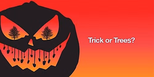 Trick orTree Planting Event at Knotty Pine Park