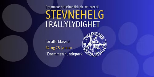 Dobbeltstevne rallylydighet