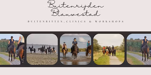 Balkjestraining: werken aan balans en lichaamsbewustzijn