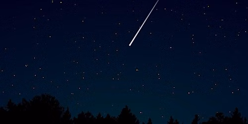 Meteor Shower Walk