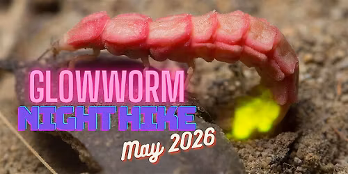 Full BLUE Moon Glowworm Night Hike (yes, glow worms are real!)