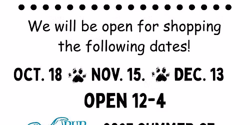 Super Sunday Shopping Event!