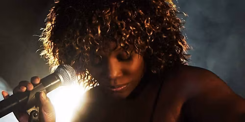 Tina Turner Tribute Night - Castle Bromwich 