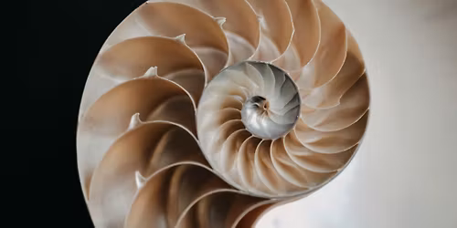 Yoga + Self Reflexology for Menstruation