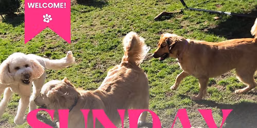 Sunday Funday - July #4