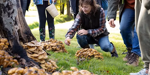 Mushroom Foraging Workshop at The Retreat, New Forest