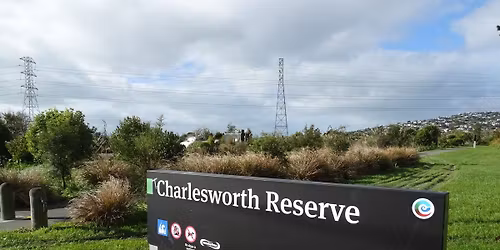 Charlesworth Street Reserve Community Planting Event