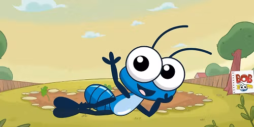 Bob Zoom in S\u00e3o Paulo