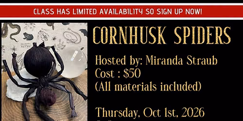 Cornhusk Spiders 