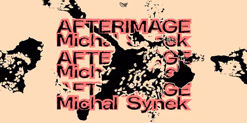 Vernis\u00e1\u017e: Michal Synek \u30fb AFTERIMAGE