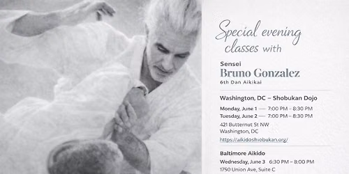 Evening Training with Bruno Gonzalez Sensei @ Baltimore Aikido