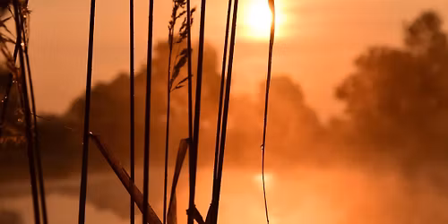 F\u00e6llessang i Buddinge Kirke