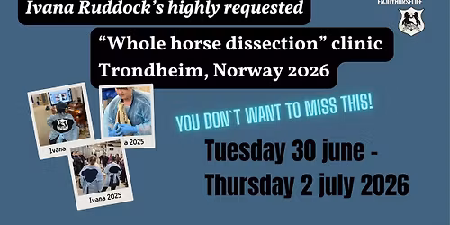 Ivana Ruddock Equine Dissection Clinic 1, Trondheim \u2013 Professionals Only 2026