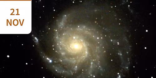 Holiday Star Party Food Drive 