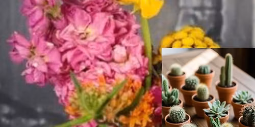 Exhale Salon 2.0 is UNO \ud83c\udf35