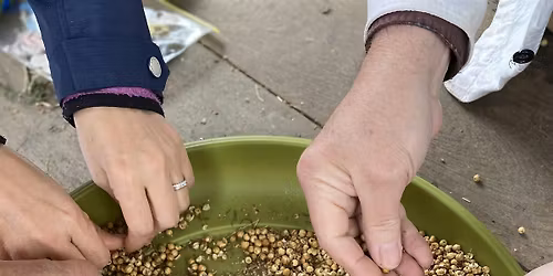 SOW TO SEW Community Flax Growing