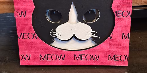 MEOW and Crazy cats