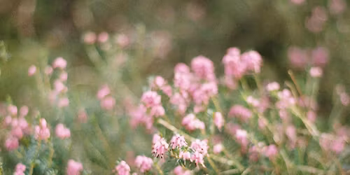 \u041a\u043e\u043d\u0444\u0435\u0440\u0435\u043d\u0446\u0438\u044f \u043e \u043b\u044e\u0431\u0432\u0438