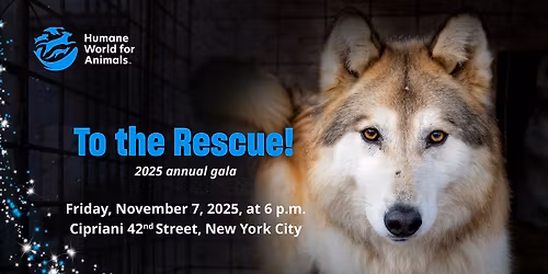 2025 To the Rescue! New York Gala