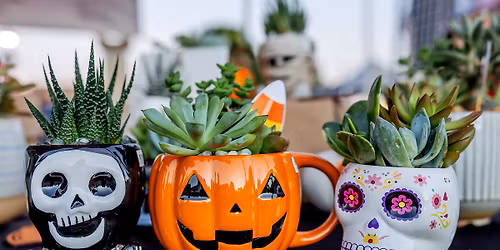 Celina Friday Night Market Presented by Renewal by Andersen - October