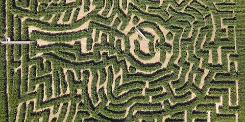 \ud83c\udf42 Sunfox Farm Corn Maze & Pick-Your-Own Pumpkins