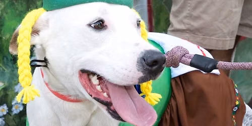 2026 Dress Your Dog Like a German Contest - Saturday