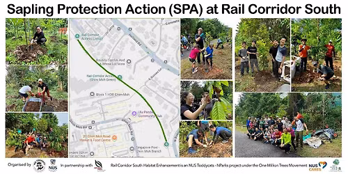 Sapling Protection Action (SPA) @Rail Corridor South (27 May 2026)