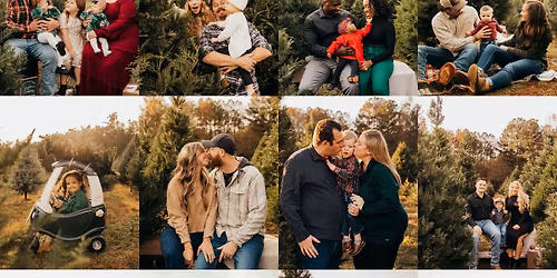 2025 Christmas Tree Minis 