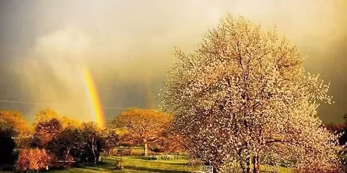 hazelmere junior Christmas fair 