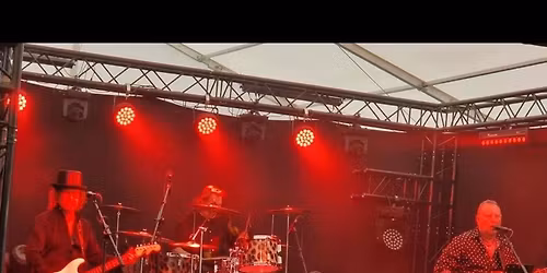 Whippet rock the Oddies