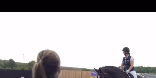 Train your horse\u2019s body 