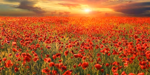 Maroubra RSL Sub-Branch March General Meeting and AGM