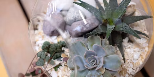 Succulent Open Terrarium Workshop