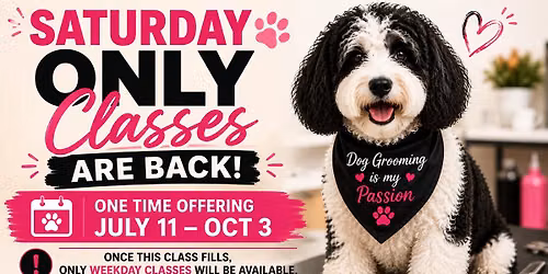 \ud83d\udc3e SATURDAY ONLY DOG GROOMING CLASSES ARE BACK! \ud83d\udc3e