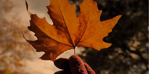 November Women\u2019s Circle