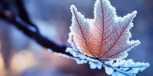 MWV GOP NOVEMBER MEETING