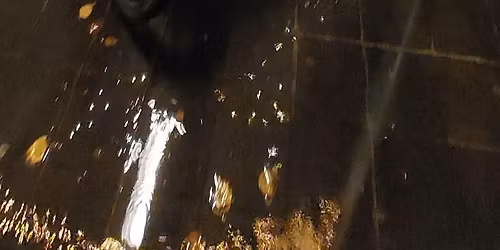 Mijn fiets is een kerstboom III